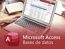 Microsoft Access